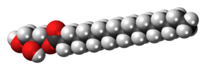 Space-filling model of the glycerol monostearate molecule