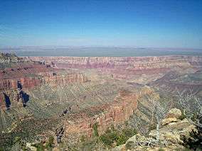 Very wide and deep canyon with some vegetation.