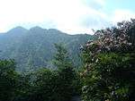 Densely forested mountains.