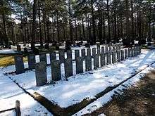 Colour photo of two rows of dark grey gravestones, with trees in the background