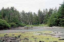 The Haida village site