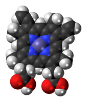 Space-filling model of the heme B complex