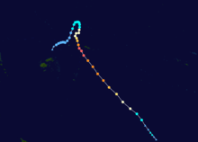 Heta formed in the upper center of the map before moving generally northeastward. The storm then curved to the southeast and continued on that course until it became extratropical.