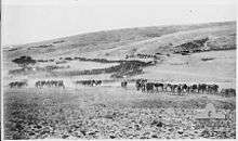 large columns of horses in an arid, hilly landscape