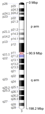 Map of Chromosome 3