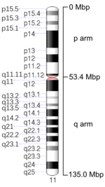 Map of Chromosome 11