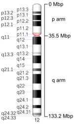 Map of Chromosome 12