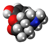 Space-filling model