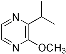 Chemical structure of isopropyl methoxy pyrazine