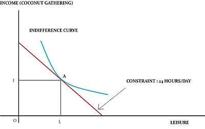 The Robinson Crusoe Economy framework