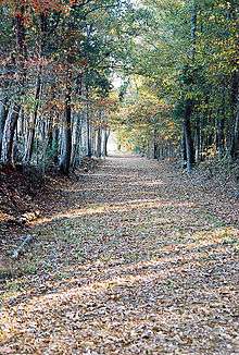 Island Ford Road is one of the many original Colonial road beds that cross various trails throughout the park