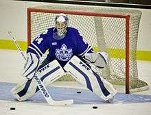 An ice hockey goalie in a blue jersey and white pads crouches in front of a goal.