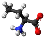 Ball-and-stick model of the α-aminobutanoic acid molecule as a zwitterion