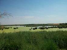 a view of Vega lake surrounded by marshlands on flat, almost treeless terrain