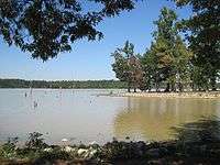 Quiet lake with a short wooded point jutting out from the right, with a dark green treeline along the horizon