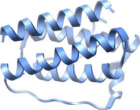 A three dimensional model with two pairs of opposed curling columns attached together at their ends by more linear segments.