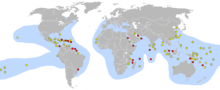 This world map shows concentrated nesting sites in the Caribbean and northeast coast of South America. Many other sites are spread across South Pacific islands, with other concentrations in the Red Sea and Persian Gulf, China's East coast, Africa's southeast coast and Indonesia.