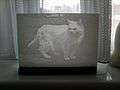 Lithophane - cat.jpg