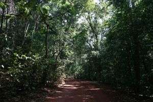  Lockerbie Scrub, Cape York, Australia.