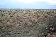 Present-day elevated view of the open ground over which the British advanced