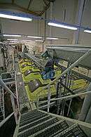 Colour photo showing a battery of five screw presses in a cooperative.  Above, an endless stainless steel screw used to bring the harvest in the press.  The selection of each unit is done by means of an automatic door.  The winery is very clean: white walls, machines and media access in painted steel and concrete floor gallery and coated with a washable paint.