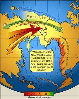 Schematic illustration of maternal geneflow in and out of Beringia. Colours of the arrows correspond to approximate timing of the events and are decoded in the coloured time-bar. The initial peopling of Berinigia (depicted in light yellow) was followed by a standstill after which the ancestors of indigenous Americans spread swiftly all over the New World while some of the Beringian maternal lineages–C1a-spread westwards. More recent (shown in green) genetic exchange is manifested by back-migration of A2a into Siberia and the spread of D2a into north-eastern America that post-dated the initial peopling of the New World.