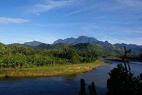 A river cuts through a forest that blankets the base of a mountain range, with a massive mountain range in the background