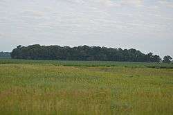 McCune Mound and Village Site