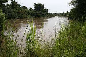 A picture of a marshy river surrounded on both sides by shrubs and trees.