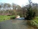 River Meon at Mislingford, looking upstream