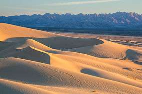 Wind swept sand dunes line a valley with a large mountain range on the opposite side.