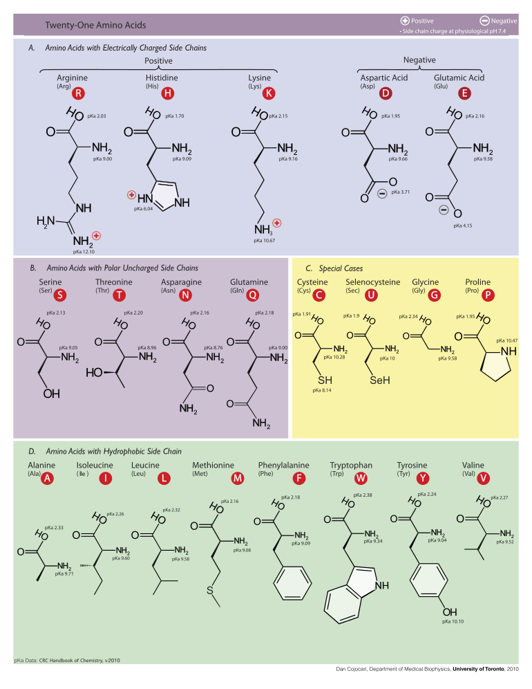 Table of amino acids