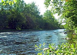 CNeversink River at Cuddebackville