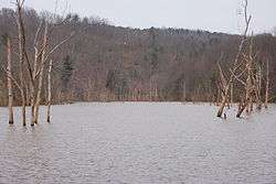 North Bend Lake in 2008