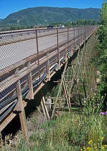 An old metal bridge across a grassy, wooded gorge, seen from its right. Diagonal supports go down below the bridge. There is a wooded mountain in the background.