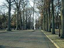 Tree-lined entrance of the Lindenwood University