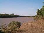 A view of a lightly muddy river.