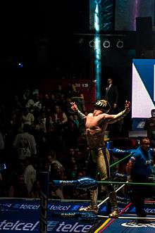 Oro Jr. posing on the turnbuckle in 2013