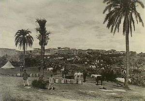 Ottoman soldiers with horses near a tent on the outskirts of the town