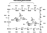 Reduction of N2 on a tris(amido)Mo center.