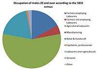 Occupation of males