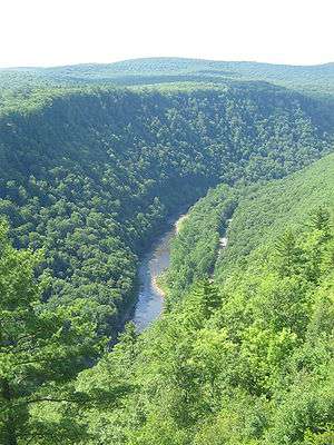 A deep gorge, its walls covered with green trees, with a stream and narrow road at the bottom