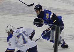 Roman Polak of the STL Blues.