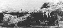 A photo of a Polish P-11 fighter covered in camouflage netting at an unidentified combat airfield