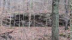 Potts Creek Rockshelter Archeological Site (12CR110)