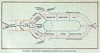 Prime Organization Elements of an Industrial Body.