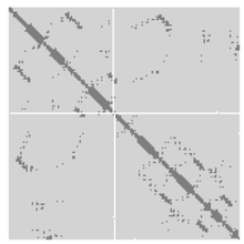 Protein contact map