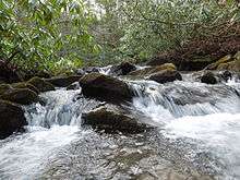 Waterfalls along the Quebec Run stream