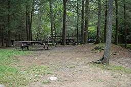 Two picnic tables, a bench and wooden footbridge in a forest