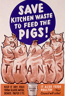 Several pigs arranged in a semi-circle at the foreground, looking towards the centre and the words "Save Kitchen Waste to feed the Pigs!". "Thanks" is printed letter-by-letter along their backs. Instructions at bottom right ask for kitchen waste to be kept dry and free from glass, metal, bones, paper etc. Opposite, it says "it also feeds poultry" and that "Your Council will collect"